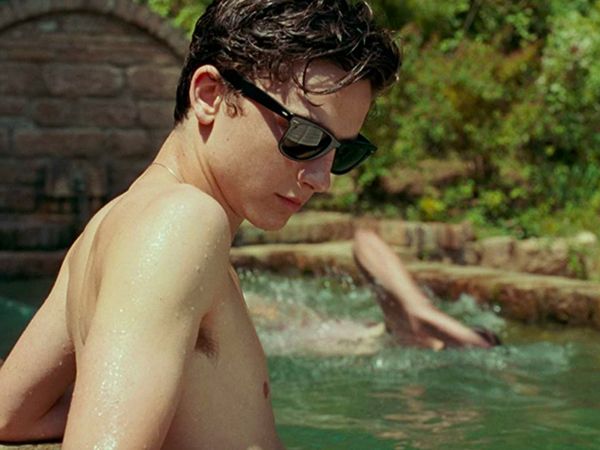 Timothée Chalamet Appears on HBO Series by 'Call Me By Your Name' Director, Armie Hammer to Follow