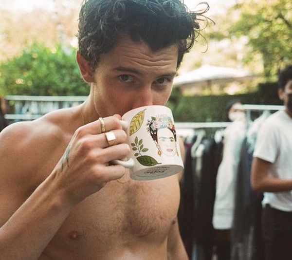 PopUps: Shawn Mendes Shows Off Hairy Chest in New Insta Post