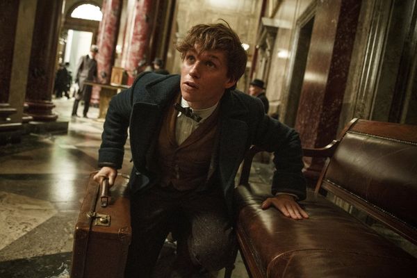 Eddie Redmayne Condemns Online 'Vitriol' Directed at J.K. Rowling