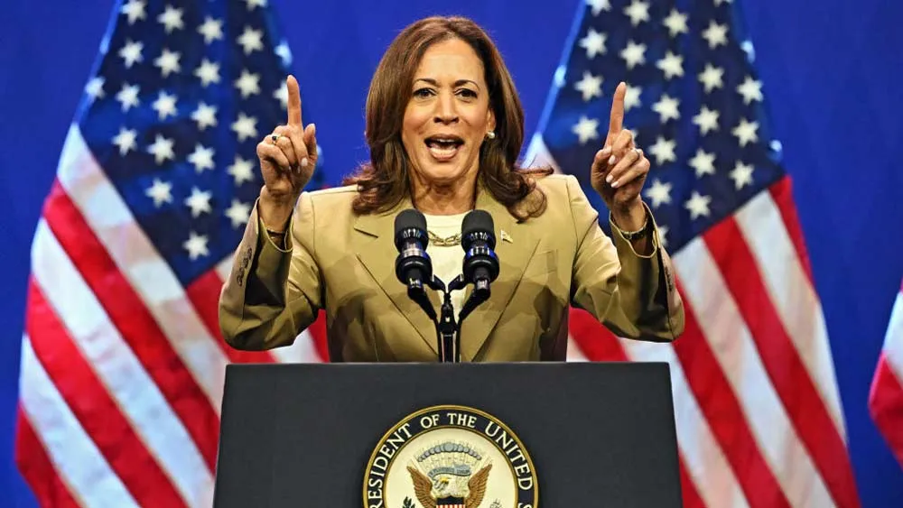 Gay Twitter Serves Up Endless Kamala Harris ‘Coconut Tree’ Meme 