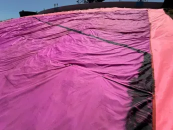 No hate crime charge for alleged pink triangle vandal