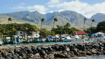 Maui Panel Passes Bill to Curb Vacation Rentals and Boost Housing Supply After Lahaina Wildfire