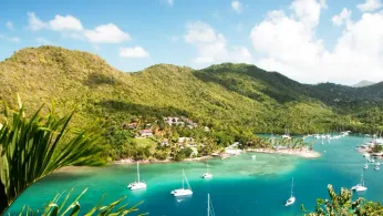 Top Caribbean Court Strikes Down a Colonial-Era Law in St. Lucia That Banned Gay Sex