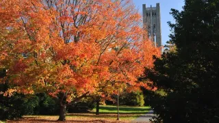 Transgender Runner Evie Parts Sues NCAA and Swarthmore College for Removal From Track Team