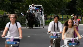 As Bikes and Strollers Fill Central Park, Its Managers Want to Push Horse Carriages Out