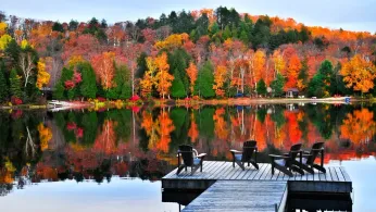 Swiftie Scarf Season: Scenic Leaf Peeping Destinations