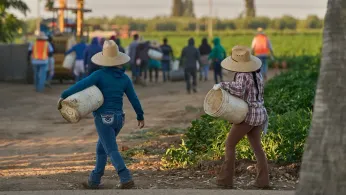 1.2 Million Immigrants Are Gone From the US Labor Force Under Trump, Preliminary Data Shows