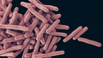 'Nightmare Bacteria' Cases Are Increasing in the US