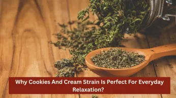 Why Cookies And Cream Strain Is Perfect For Everyday Relaxation