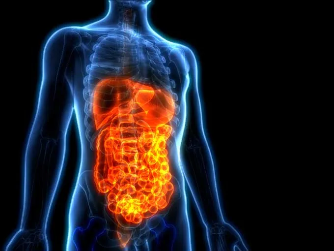 How Do Edibles Affect You? Edibles High Explained EDGE United States